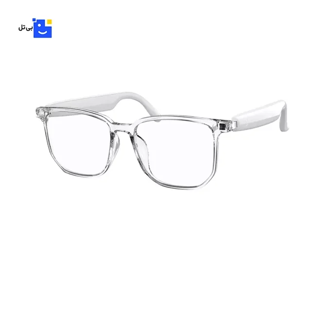 Green Lion Hamburg Smart Glasses